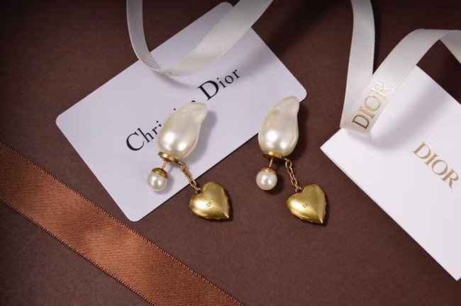 Dior Earrings CE5744