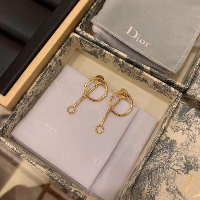 Dior Earrings CE5746