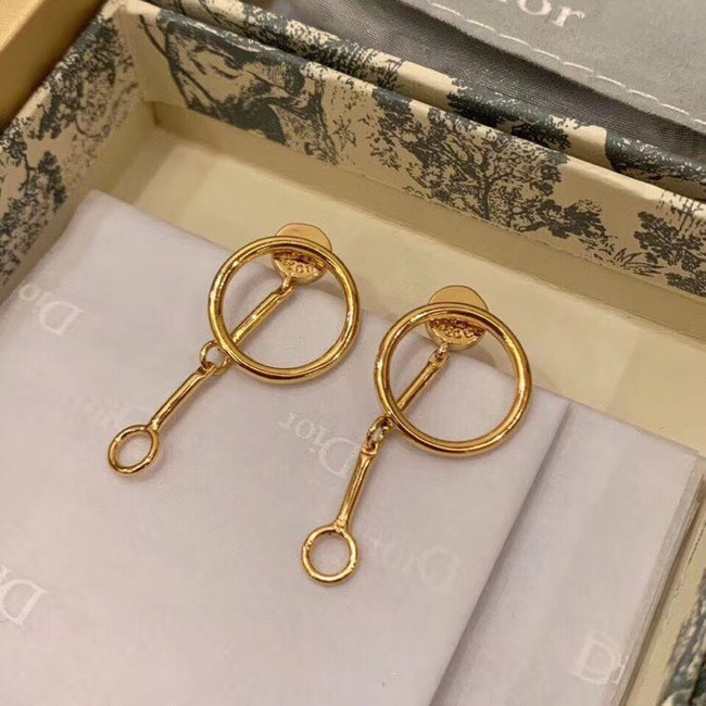 Dior Earrings CE5746