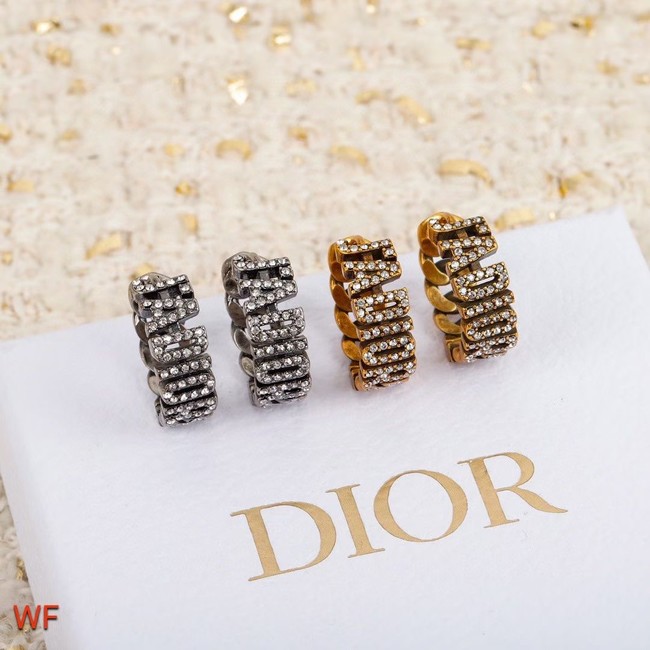 Dior Earrings CE5748