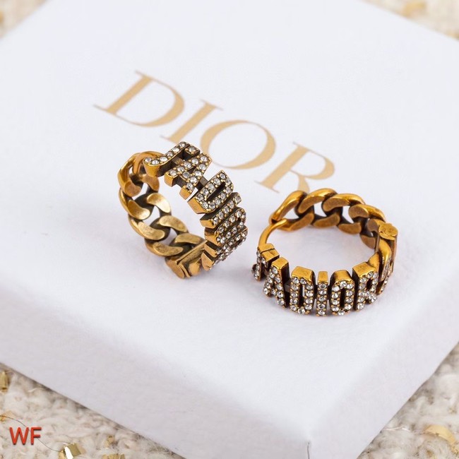 Dior Earrings CE5748