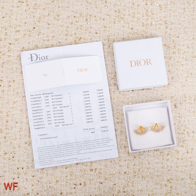 Dior Earrings CE5749