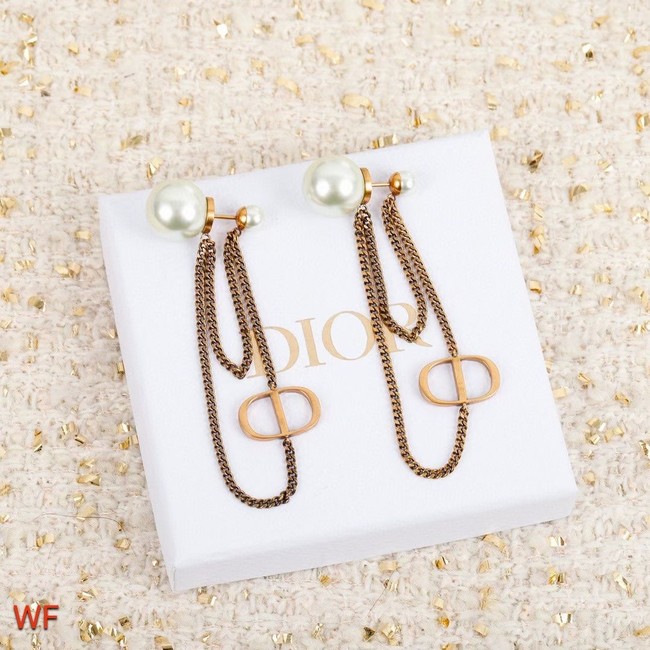 Dior Earrings CE5750