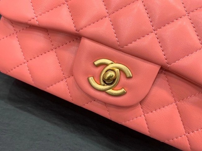 Chanel small tote bag Sheepskin & Gold-Tone Metal AS8816 pink