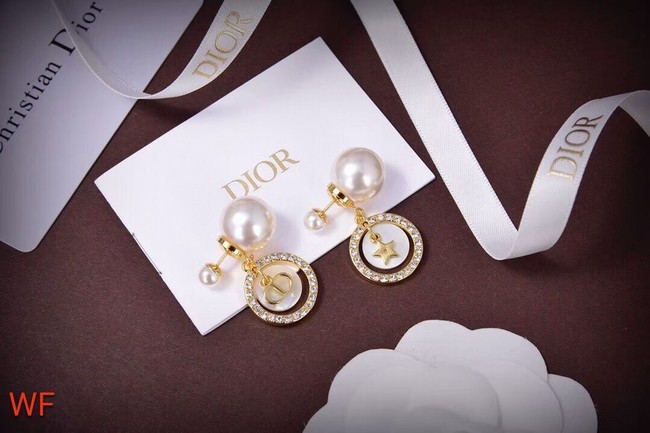 Dior Earrings CE5828