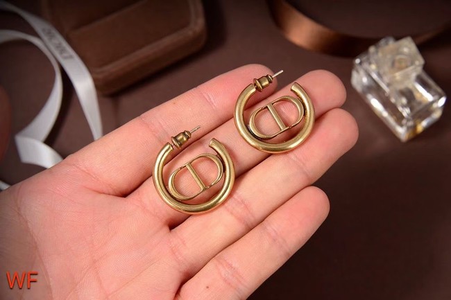 Dior Earrings CE5837