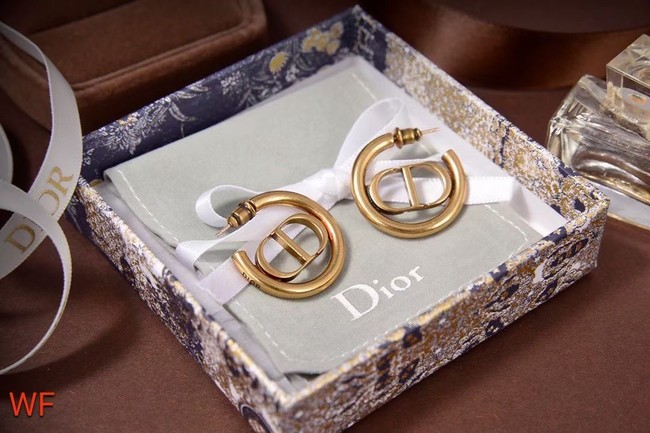 Dior Earrings CE5837