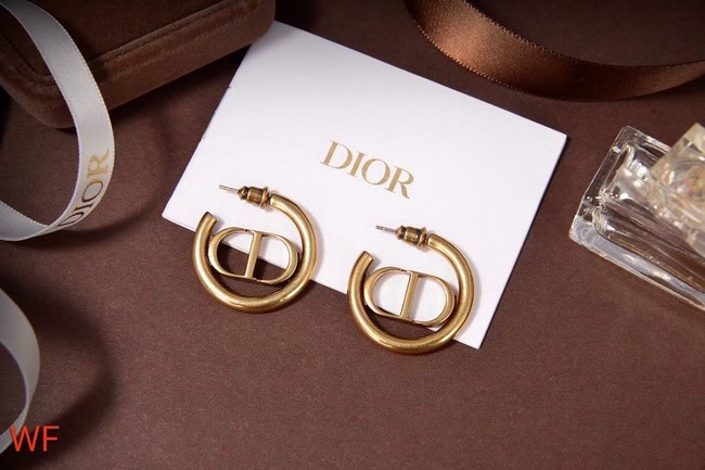 Dior Earrings CE5837