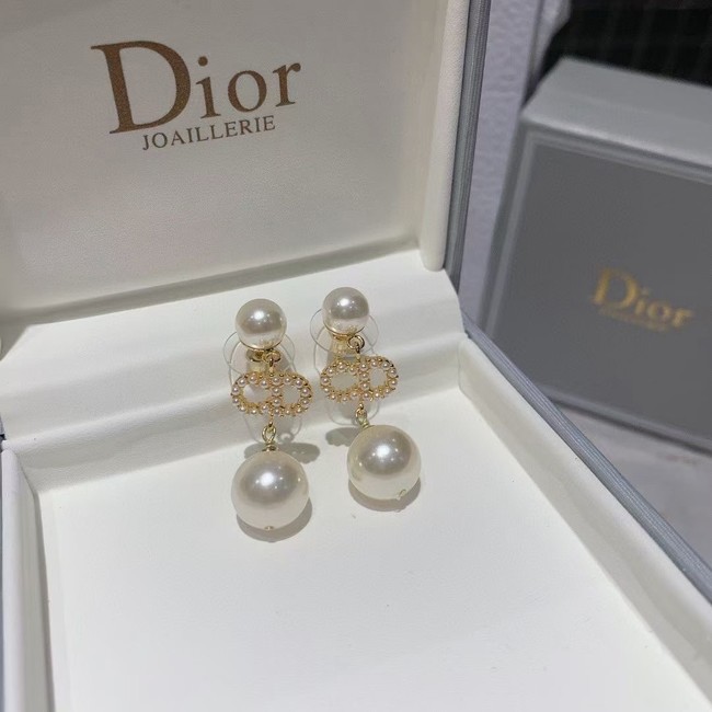 Dior Earrings CE5868