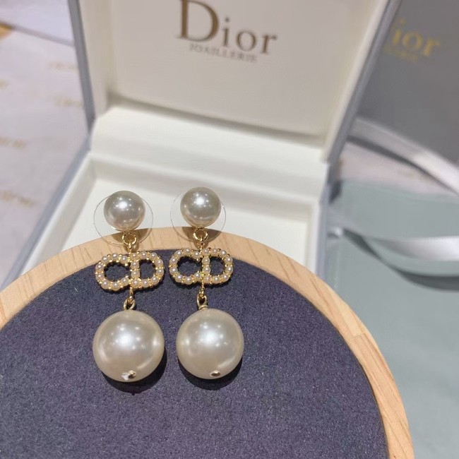 Dior Earrings CE5868