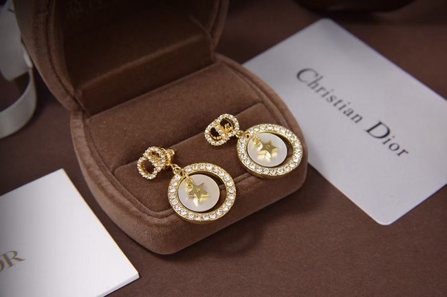 Dior Earrings CE5873