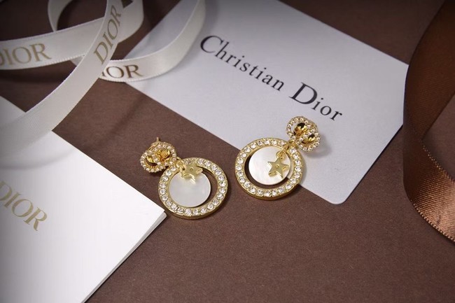 Dior Earrings CE5873