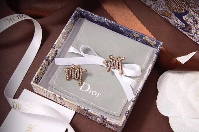 Dior Earrings CE5874