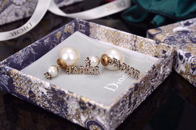 Dior Earrings CE5875