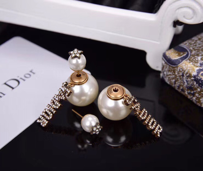 Dior Earrings CE5875