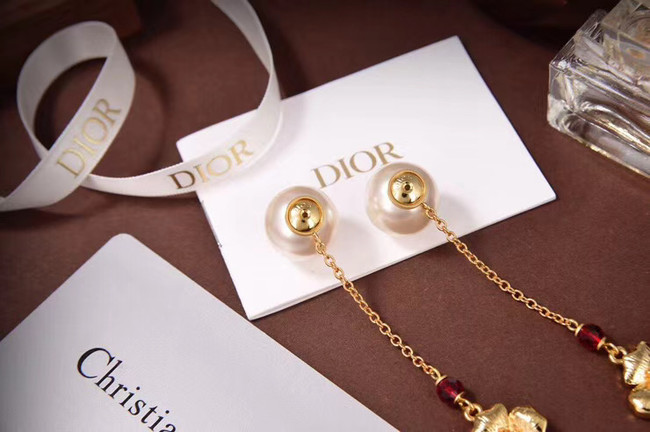 Dior Earrings CE5876