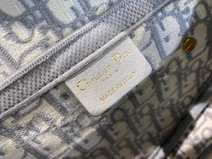 SADDLE BAG Dior Oblique Embroidered Velvet C0044 gray