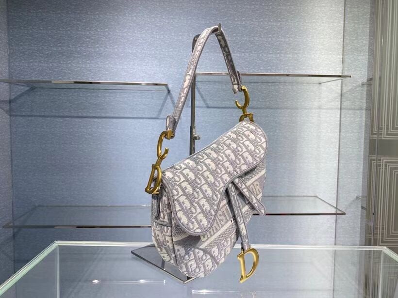 SADDLE BAG Dior Oblique Embroidered Velvet C0044 gray