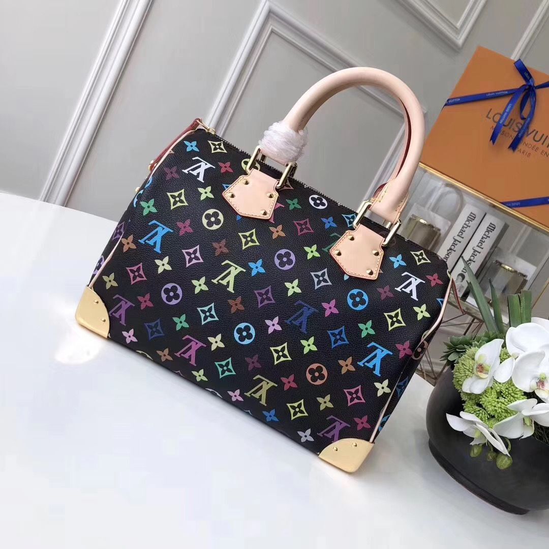 Louis Vuitton  Monogram canvas 2569 black