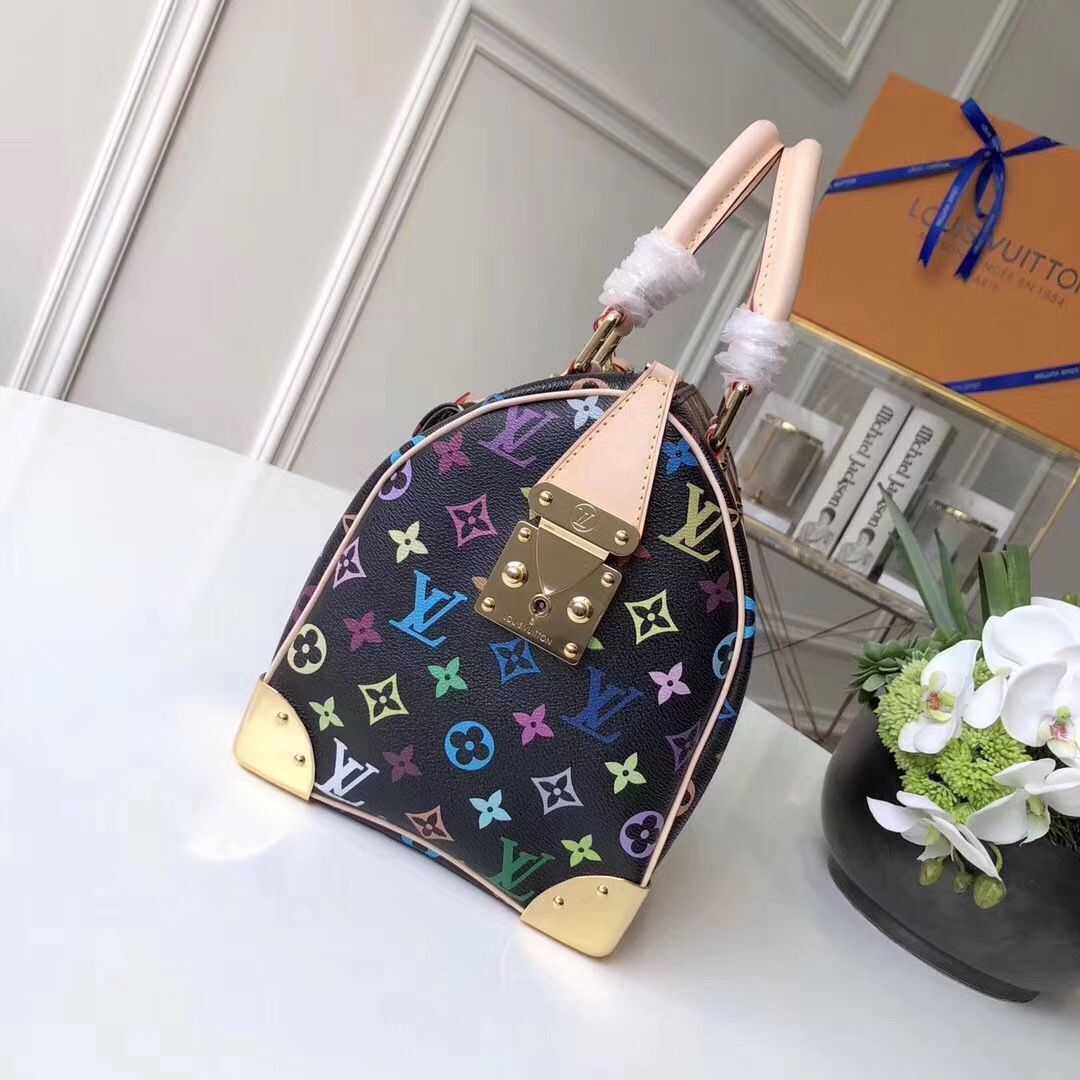 Louis Vuitton  Monogram canvas 2569 black