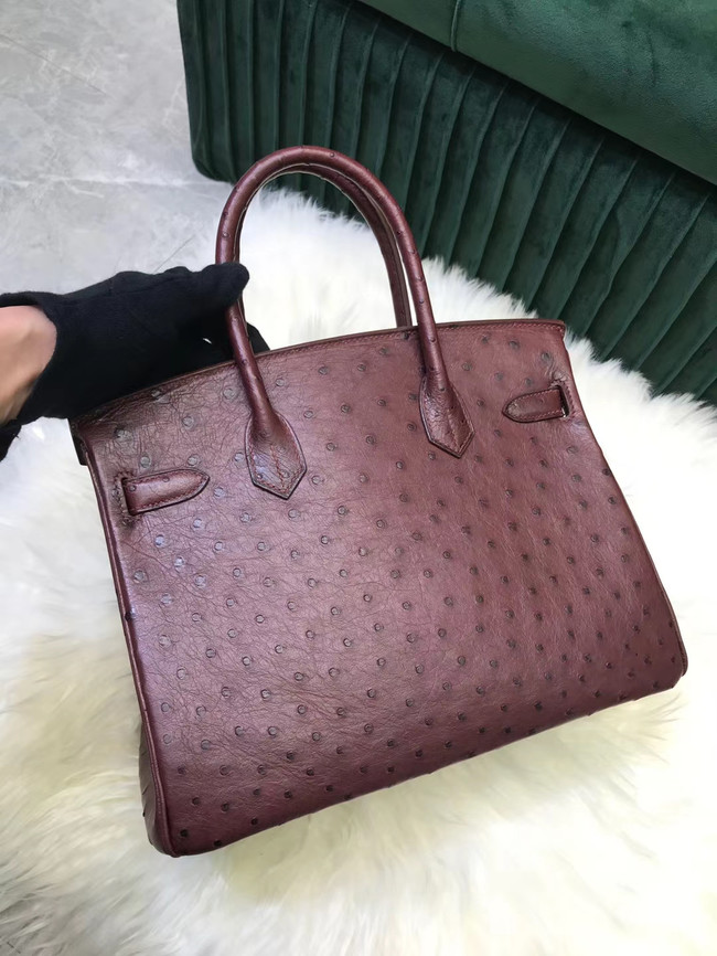 Hermes Birkin Bag Original Leather Ostrich skin HBK2530 Burgundy