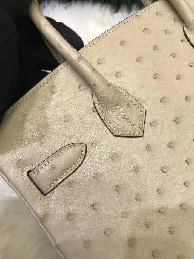 Hermes Birkin Bag Original Leather Ostrich skin HBK2530 cream