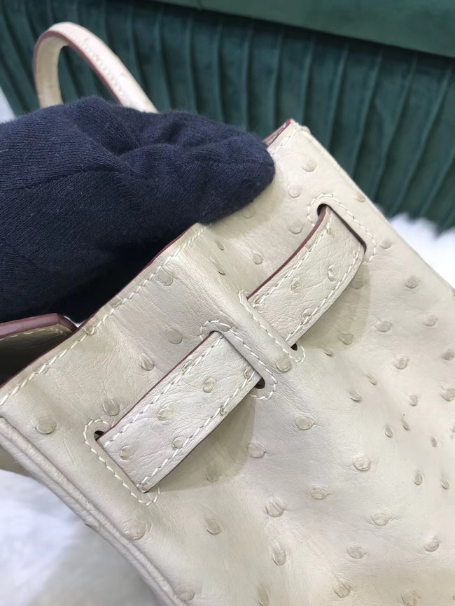 Hermes Birkin Bag Original Leather Ostrich skin HBK2530 cream