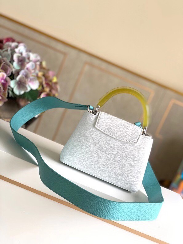 Louis vuitton CAPUCINES MINI M56072 WHITE