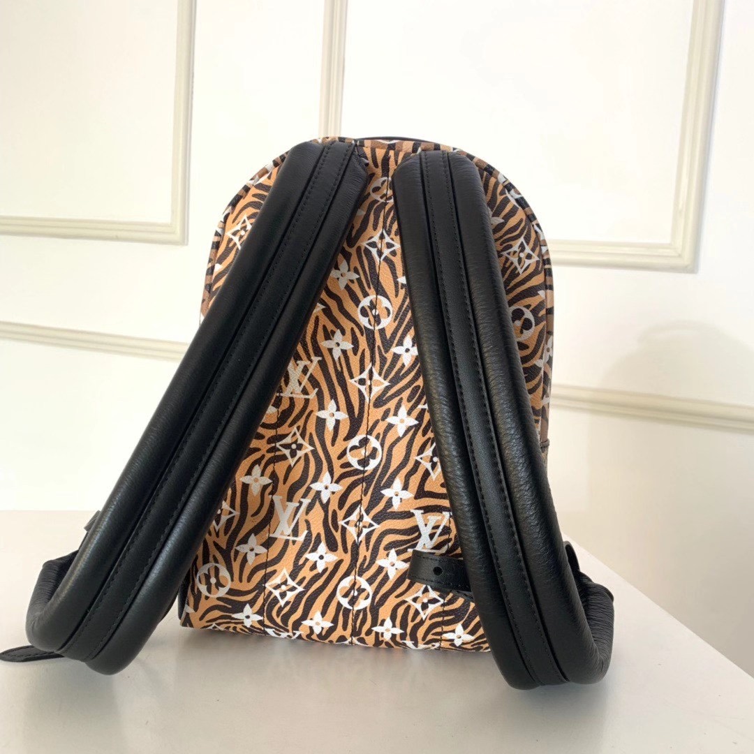 Louis vuitton PALM SPRINGS PM M44871
