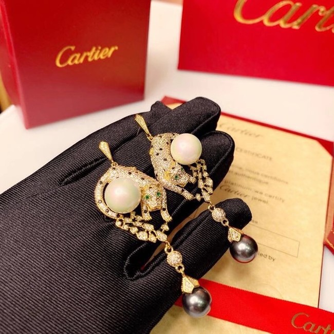 Cartier Earrings CE6059