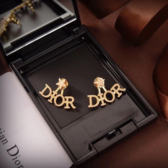 Dior Earrings CE6040