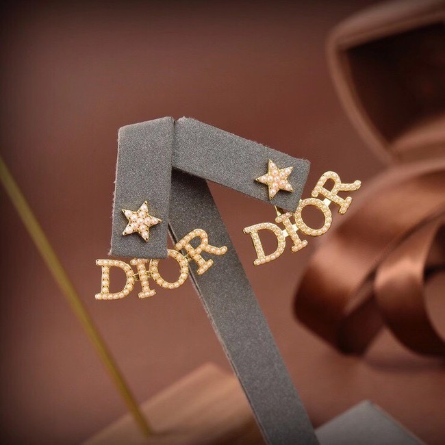 Dior Earrings CE6040