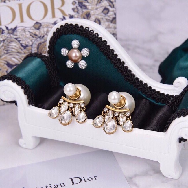 Dior Earrings CE6042