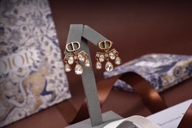 Dior Earrings CE6045