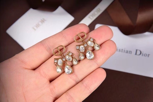 Dior Earrings CE6045