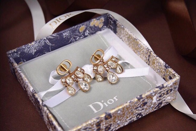 Dior Earrings CE6045