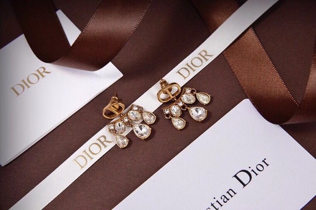 Dior Earrings CE6045