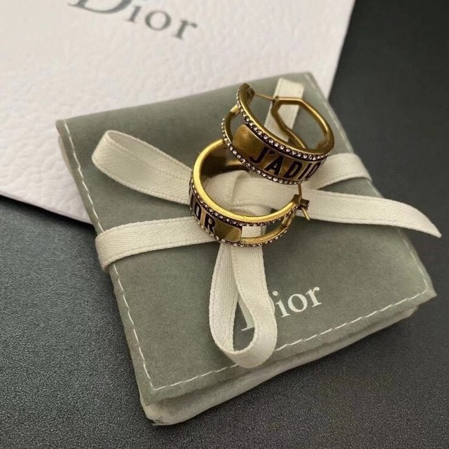 Dior Earrings CE6047