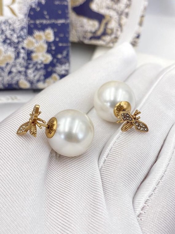 Dior Earrings CE6052