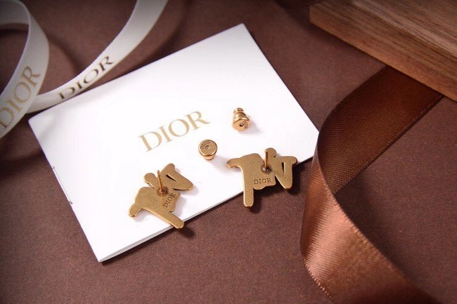 Dior Earrings CE6053