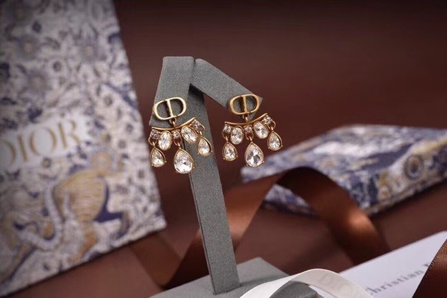 Dior Earrings CE6054
