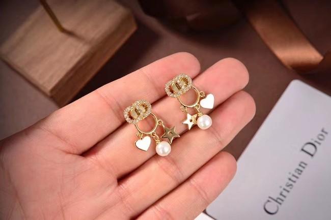 Dior Earrings CE6054