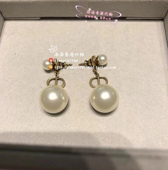 Dior Earrings CE6058