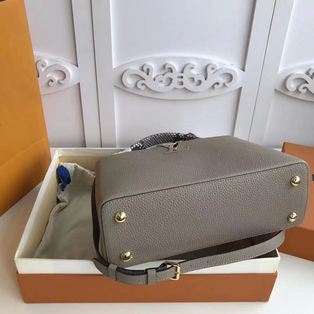 Louis Vuitton CAPUCINES PM M52386 grey