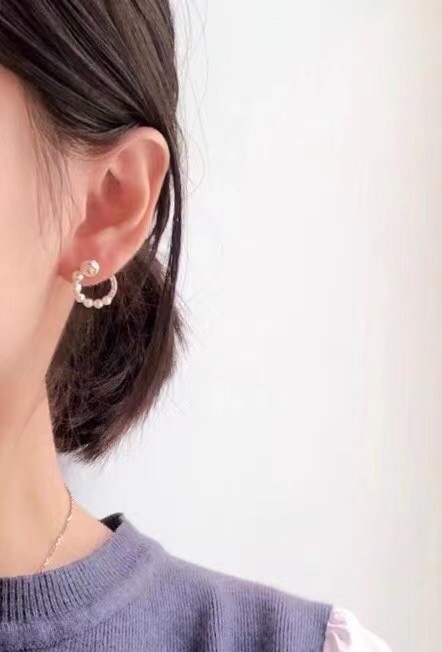 Dior Earrings CE6070