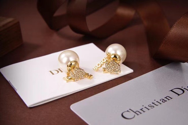 Dior Earrings CE6080