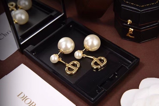 Dior Earrings CE6085