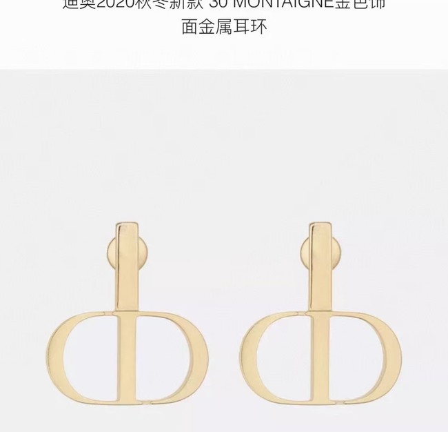 Dior Earrings CE6090