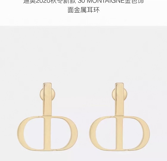 Dior Earrings CE6090