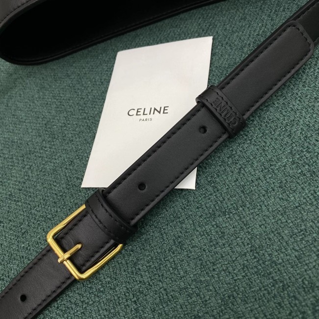 Celine BUCKET BAG IN SHINY CALFSKIN 193043 black